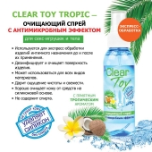 Очищающий спрей для игрушек CLEAR TOY Tropic - 100 мл. - Биоритм - купить с доставкой в Новочеркасске