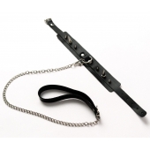 Черный ошейник с шипами и поводком - Crazy Handmade - купить с доставкой в Новочеркасске