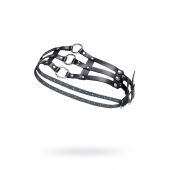 Черный кожаный пояс с кольцами - Pecado - купить с доставкой в Новочеркасске