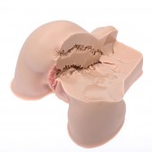 Мастурбатор-полуторс Naked Factory Kate - Naked Factory - в Новочеркасске купить с доставкой