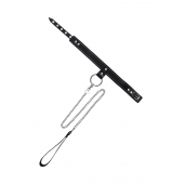 Черный узкий однослойный ошейник с серебристым поводком-цепочкой - Pecado - купить с доставкой в Новочеркасске