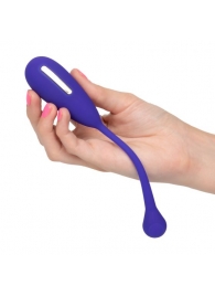 Фиолетовый шарик с электростимуляцией и вибрацией Intimate E-Stimulator Remote Kegel Exerciser - California Exotic Novelties - купить с доставкой в Новочеркасске