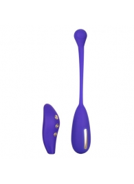 Фиолетовый шарик с электростимуляцией и вибрацией Intimate E-Stimulator Remote Kegel Exerciser - California Exotic Novelties - купить с доставкой в Новочеркасске