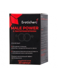 Капсулы для мужчин Erotichard male power с пантогематогеном - 20 капсул (0,370 гр.) - Erotic Hard - купить с доставкой в Новочеркасске