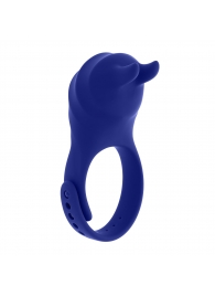 Синее эрекционное виброкольцо с клиторальной подушечкой и пультом ДУ Adjustable Fun Ring - Zero Tolerance - в Новочеркасске купить с доставкой