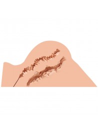 Мастурбатор-полуторс Naked Factory Hannah - Naked Factory - в Новочеркасске купить с доставкой