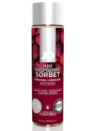 Лубрикант на водной основе с ароматом малины JO Flavored Raspberry Sorbet - 120 мл. - System JO - купить с доставкой в Новочеркасске