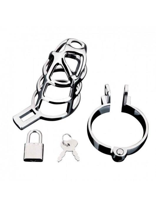 Серебристая металлическая клетка для члена с замком Enslave Cock Cage - BlueLine - купить с доставкой в Новочеркасске