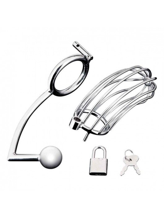 Серебристая металлическая клетка с анальным стимулятором Cock Cage - BlueLine - купить с доставкой в Новочеркасске