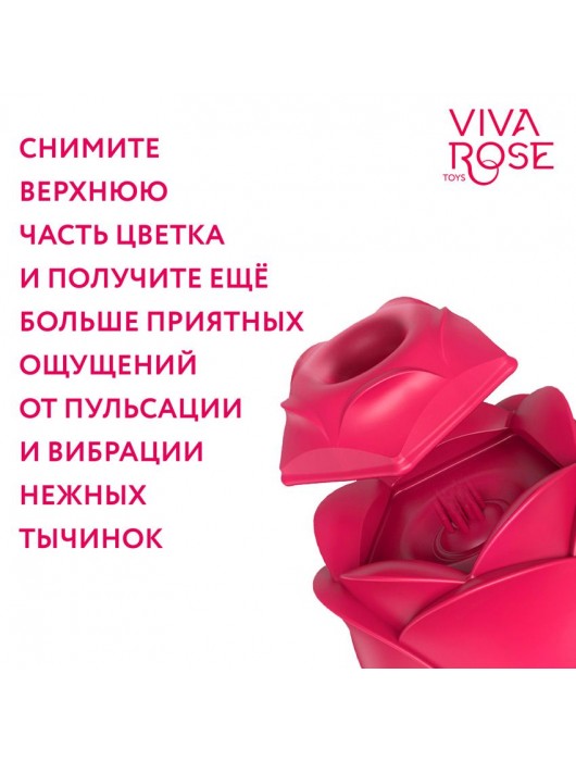 Малиновый двойной вибростимулятор - Bior toys