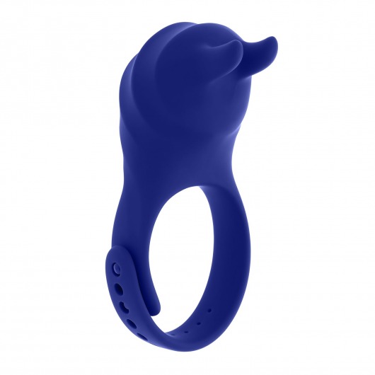 Синее эрекционное виброкольцо с клиторальной подушечкой и пультом ДУ Adjustable Fun Ring - Zero Tolerance - в Новочеркасске купить с доставкой