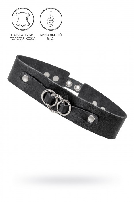 Черный чокер-ошейник со связанными кольцами на подложке - Pecado - купить с доставкой в Новочеркасске