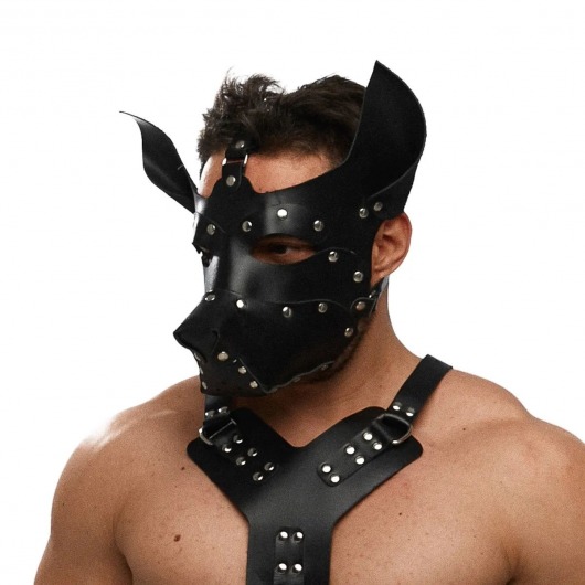 Черная кожаная маска «Собака» - Crazy Handmade - купить с доставкой в Новочеркасске