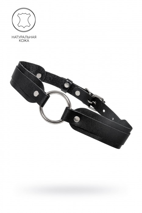 Черный кожаный чокер-ошейник со скруглёнными углами - Pecado - купить с доставкой в Новочеркасске