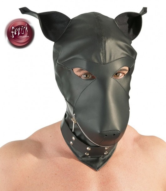 Шлем-маска Dog Mask в виде морды собаки - Orion - купить с доставкой в Новочеркасске