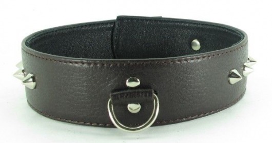 Коричневый кожаный ошейник с кольцом увеличенного размера - БДСМ Арсенал - купить с доставкой в Новочеркасске