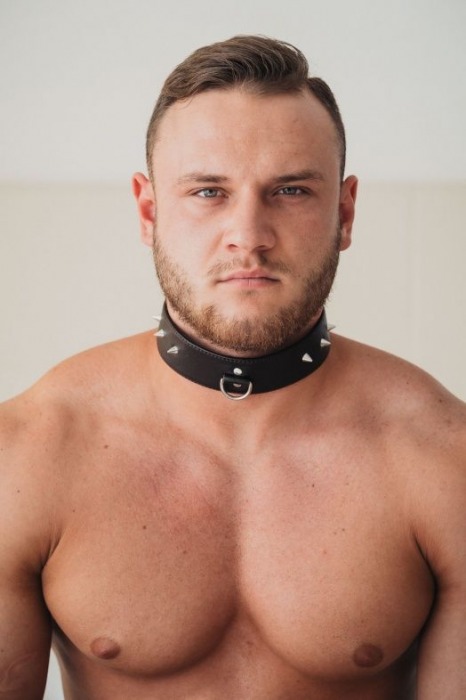 Коричневый кожаный ошейник с кольцом увеличенного размера - БДСМ Арсенал - купить с доставкой в Новочеркасске