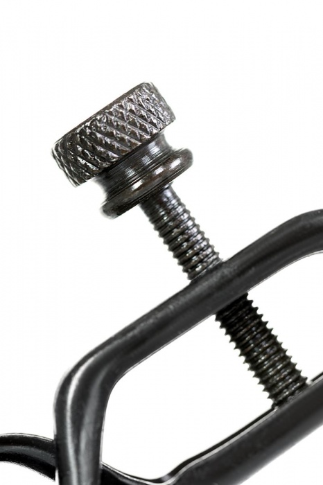 Черно-золотистые зажимы для сосков TOYFA Theatre - ToyFa - купить с доставкой в Новочеркасске