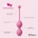 Набор из 3 розовых вагинальных шариков FemmeFit Advanced Pelvic Muscle Training Set - FeelzToys в Новочеркасске Набор из 3 розовых вагинальных шариков FemmeFit Advanced Pelvic Muscle Training Set - FeelzToys